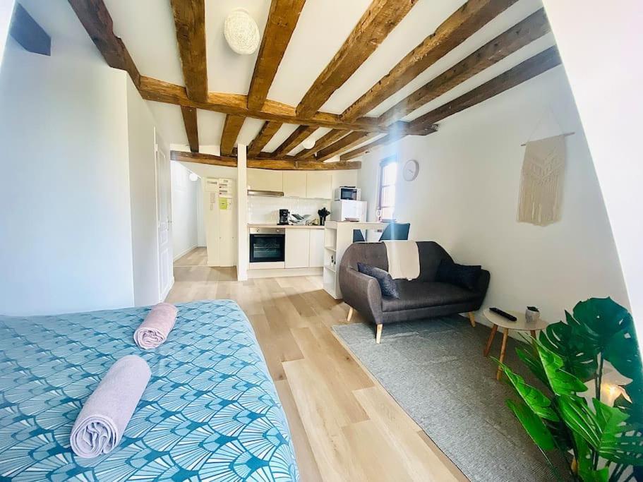 Aux Pieds Du Vieux-mans : Joli Studio Cosy Apartment Le Mans