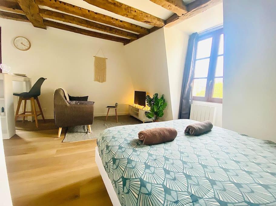 Apartment Aux Pieds Du Vieux-mans : Joli Studio Cosy Le Mans